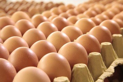 双鸭山鸡蛋检测价格,鸡蛋检测机构,鸡蛋检测项目,鸡蛋常规检测